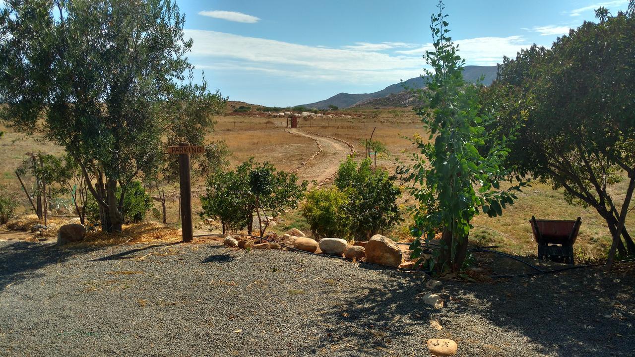 Vinofilia Wine Country Inn Valle de Guadalupe Exterior foto
